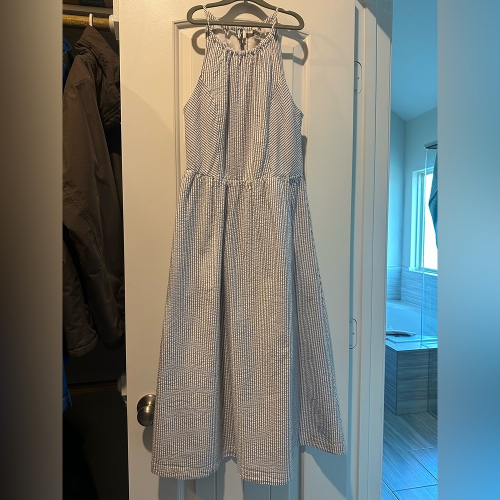 J. Crew Women's Gingham Dress in Blue and White
